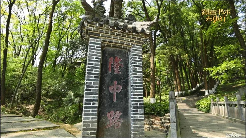太阳集团