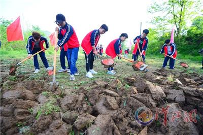 太阳集团