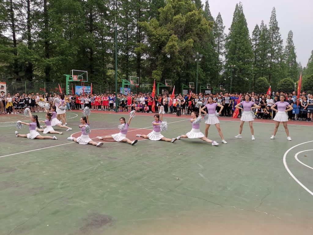 太阳集团