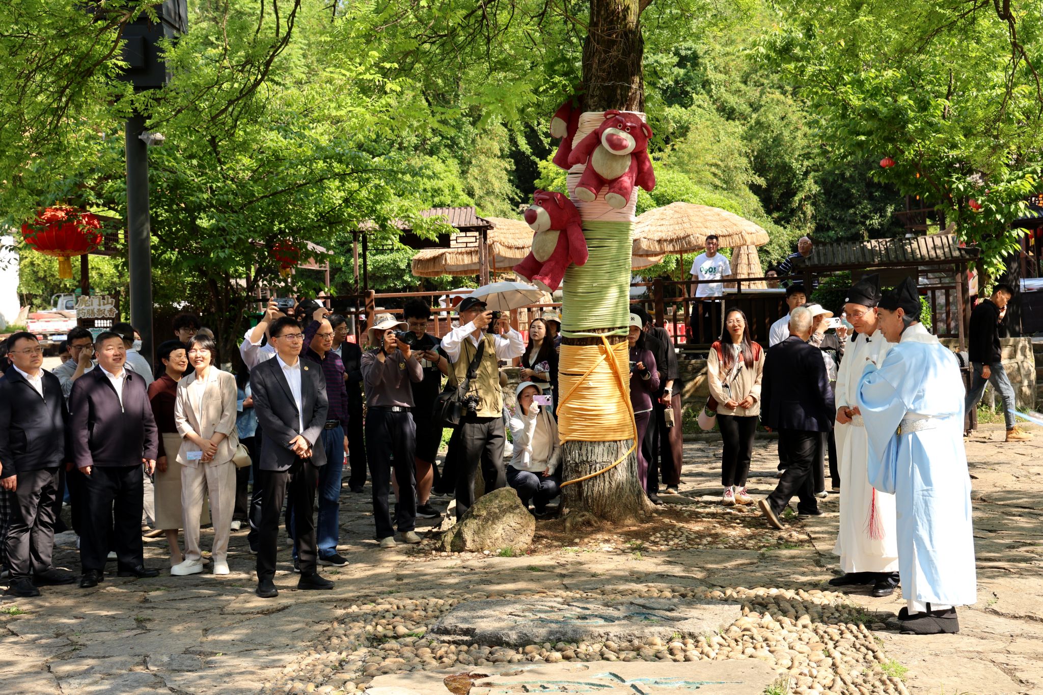 太阳集团