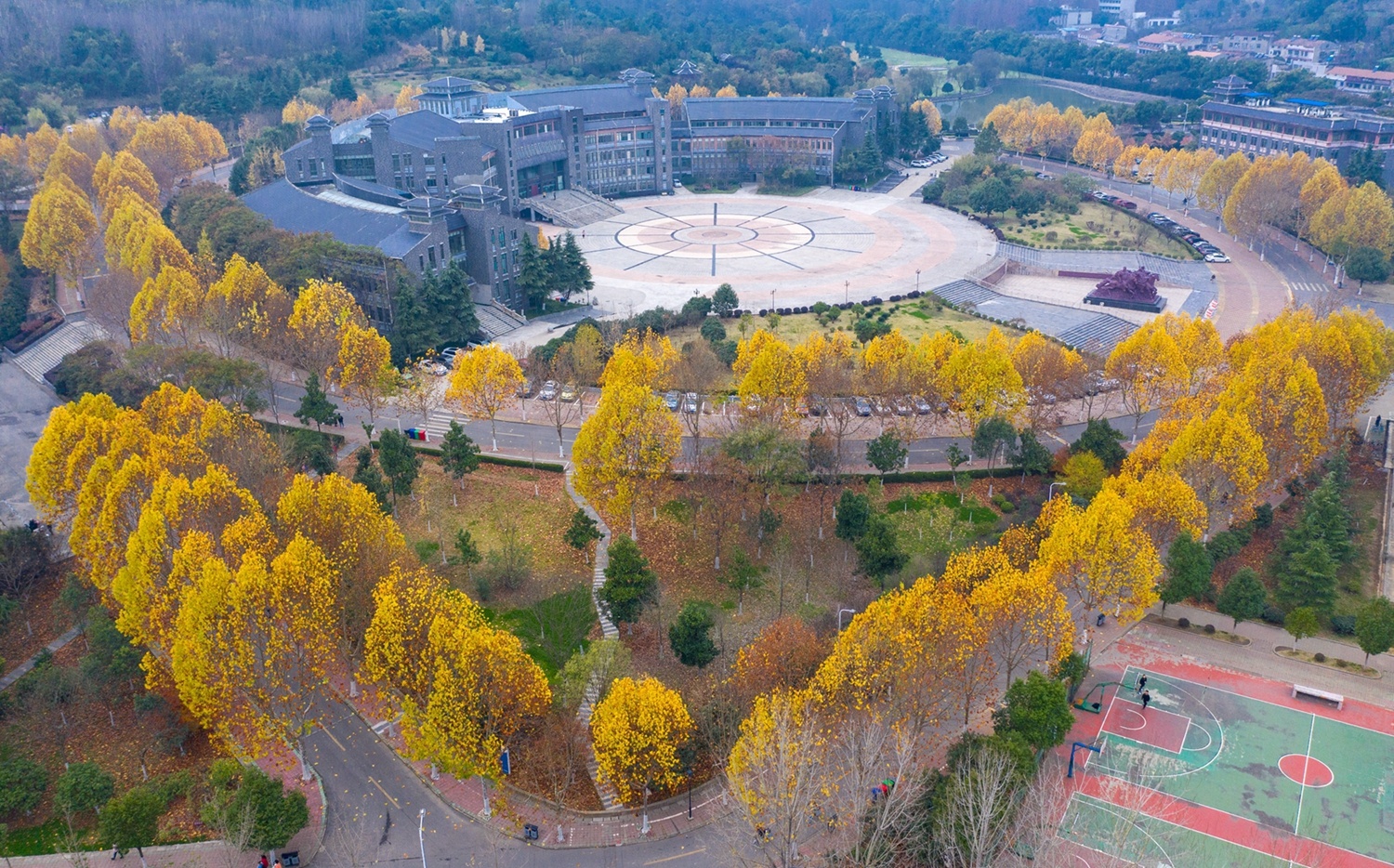 太阳集团