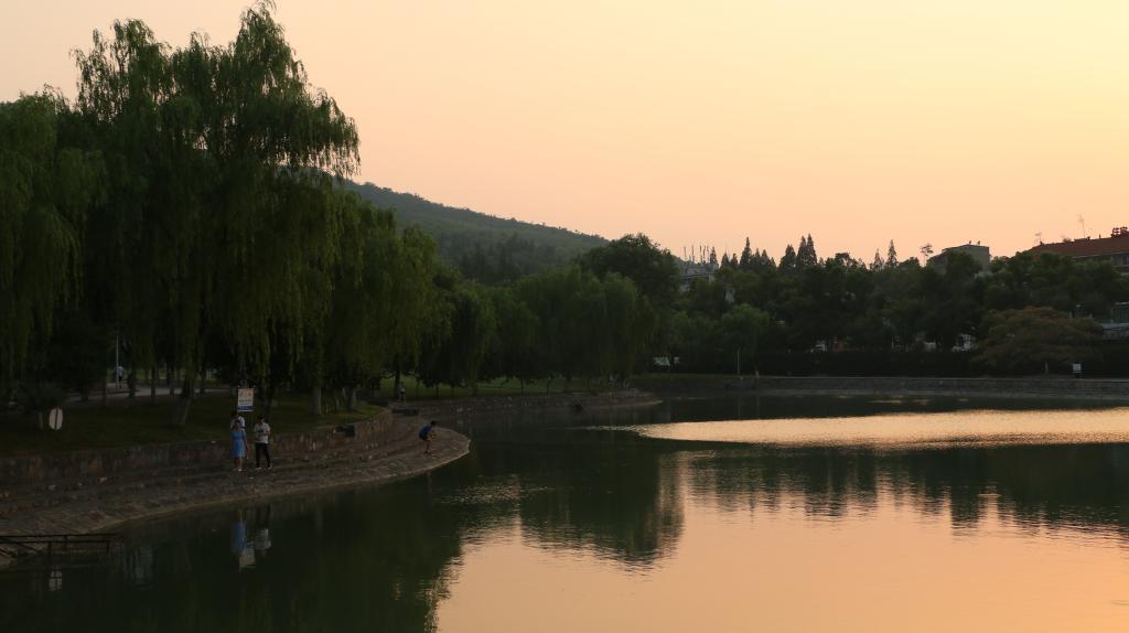 太阳集团