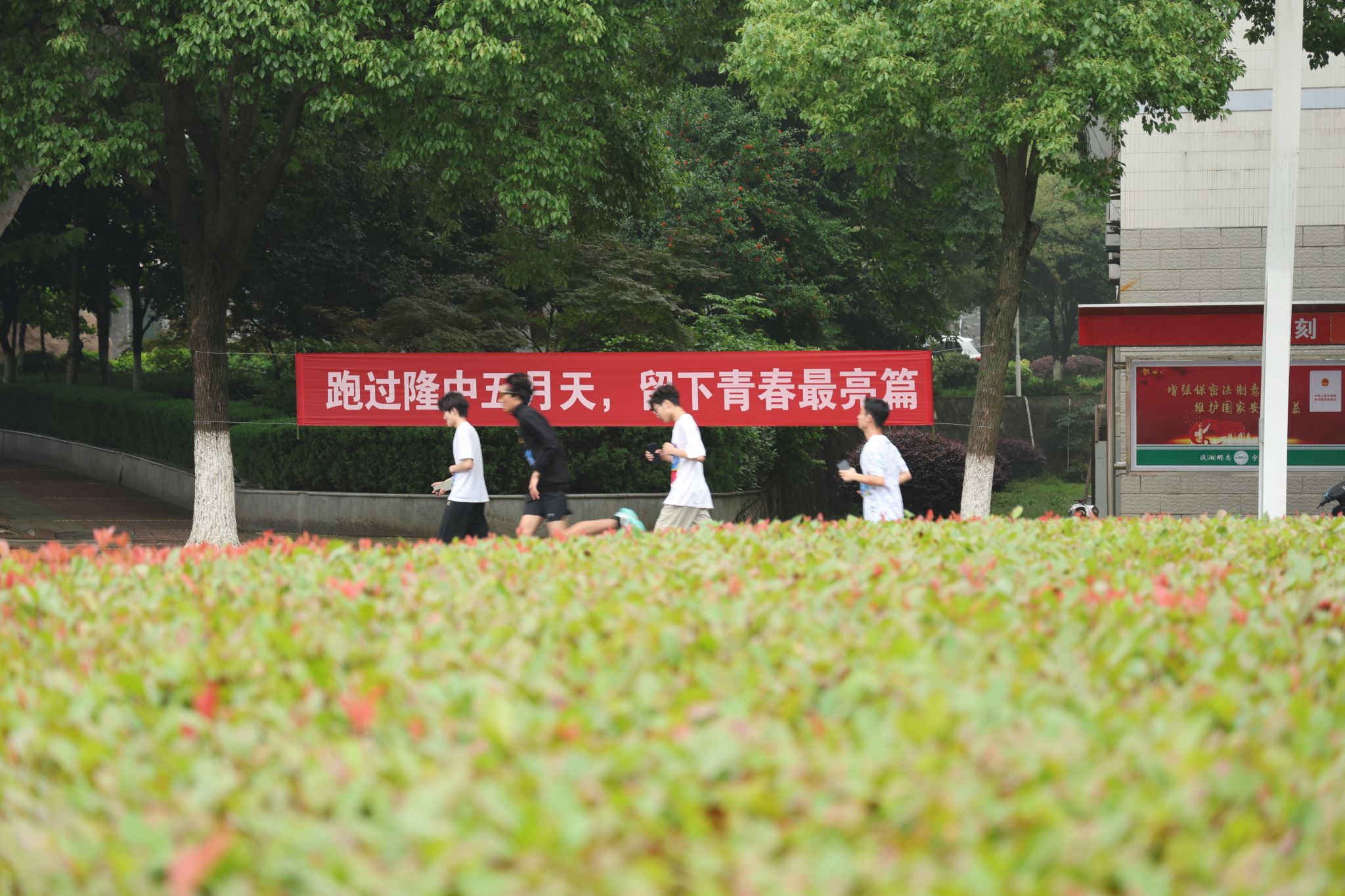 太阳集团