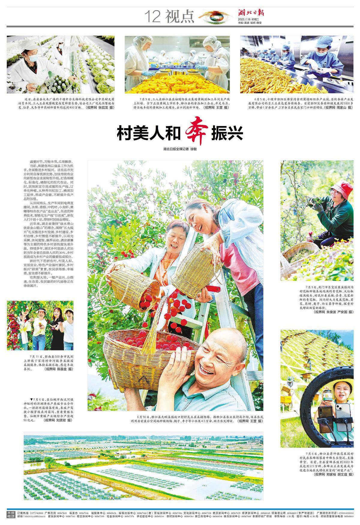 太阳集团