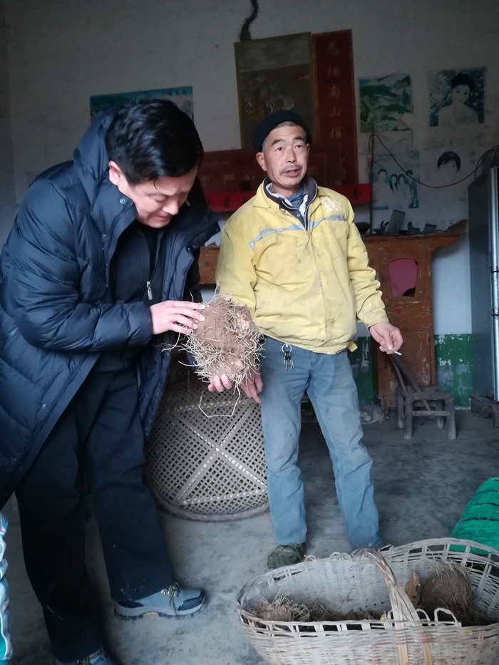 太阳集团
