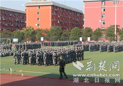 太阳集团