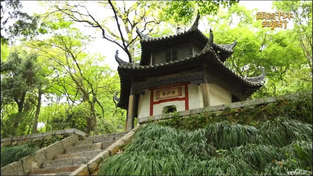 太阳集团