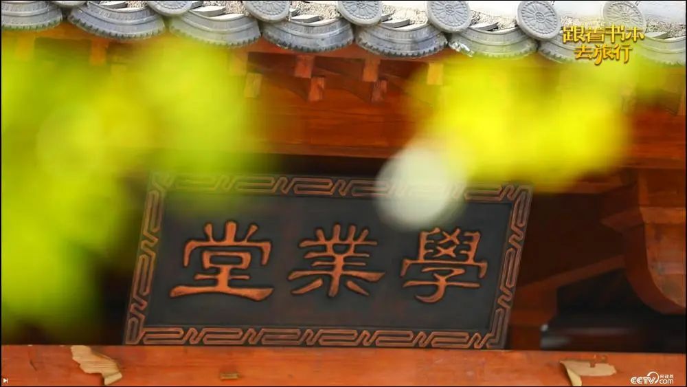 太阳集团