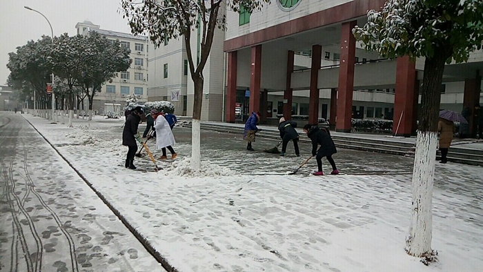 太阳集团