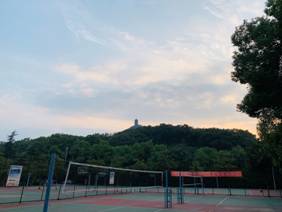 太阳集团