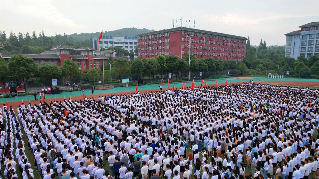 太阳集团