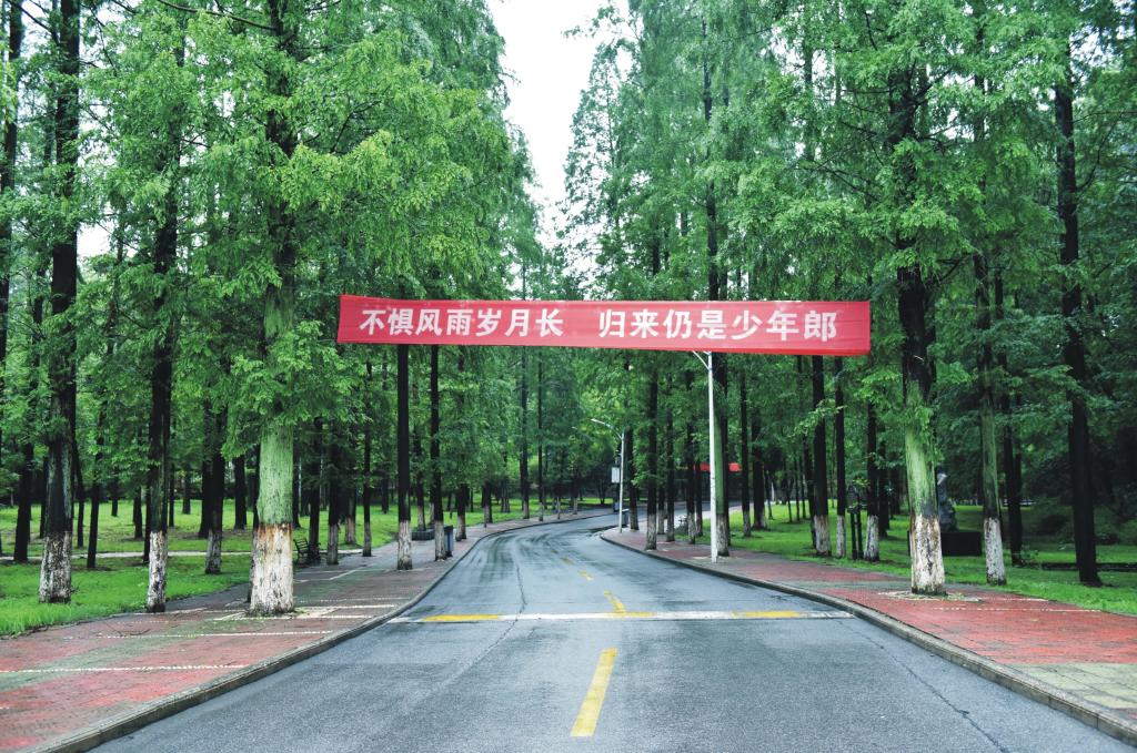 太阳集团