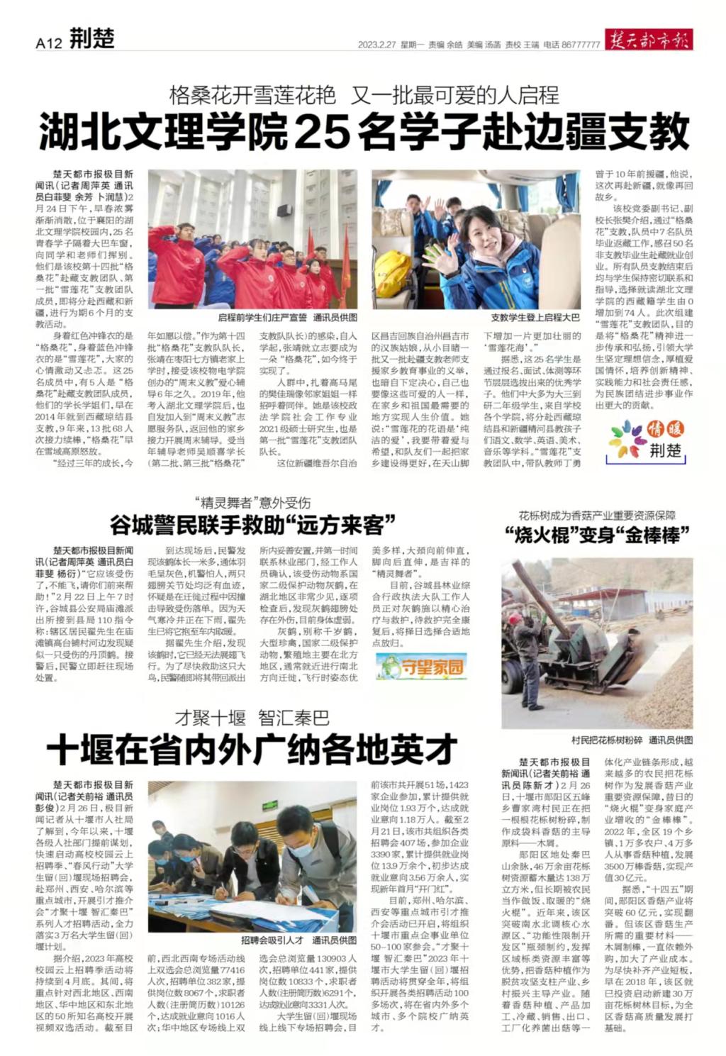 太阳集团