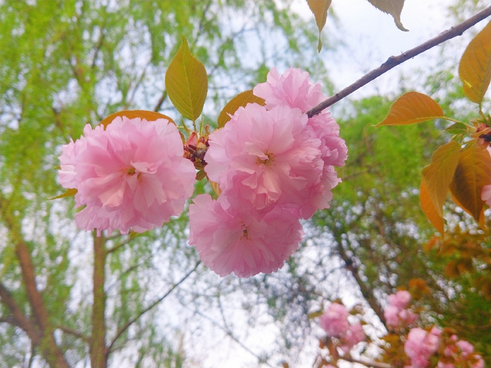 太阳集团