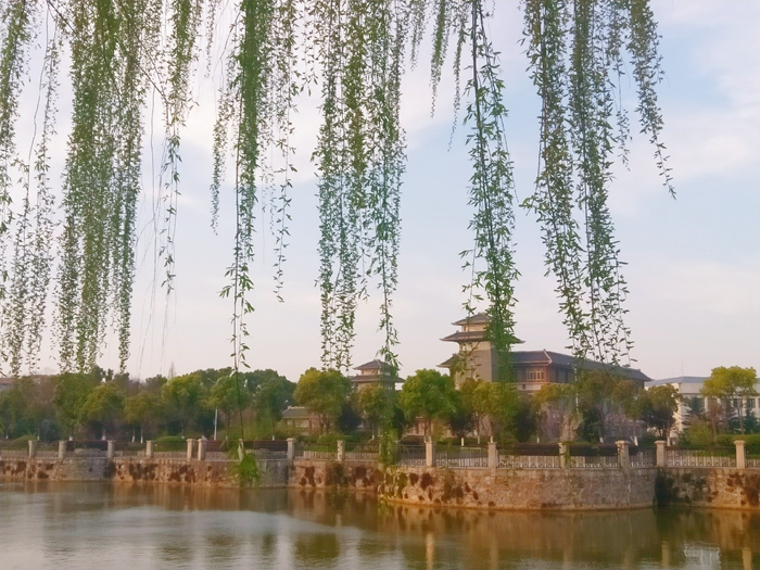 太阳集团