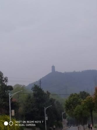 太阳集团