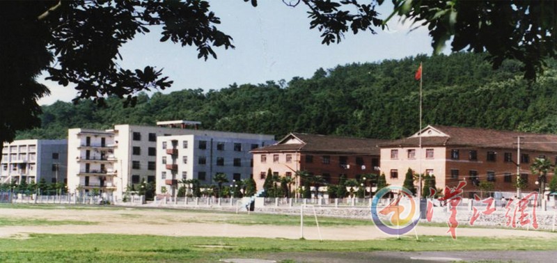 太阳集团