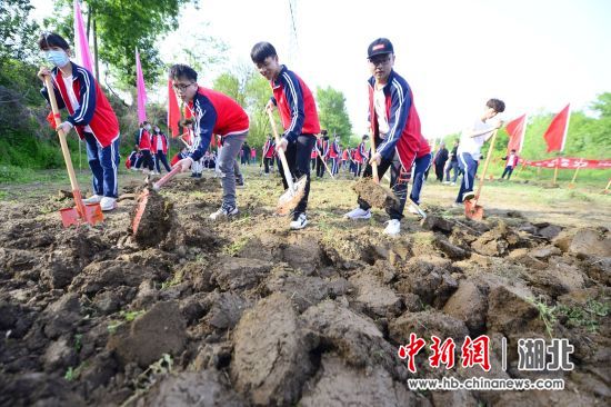 太阳集团