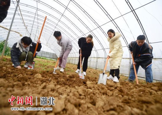 太阳集团