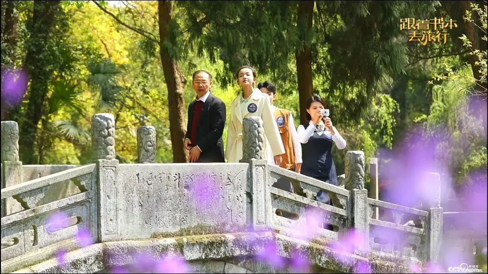 太阳集团