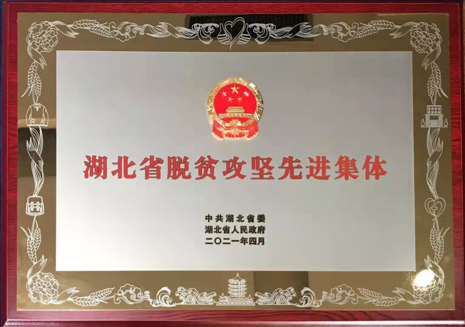 太阳集团