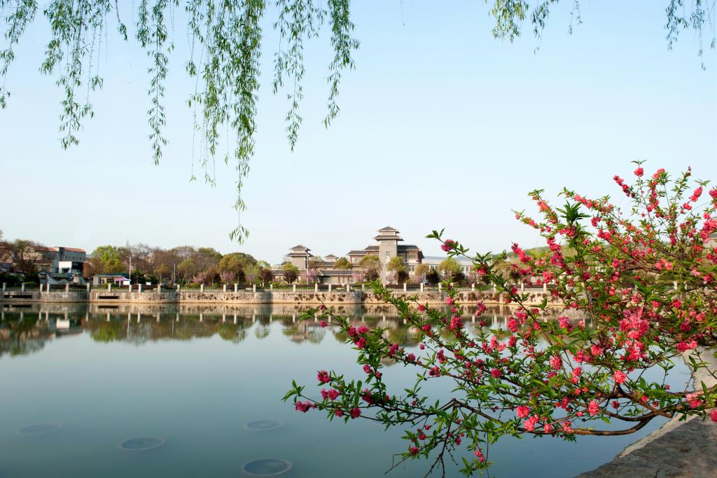 太阳集团